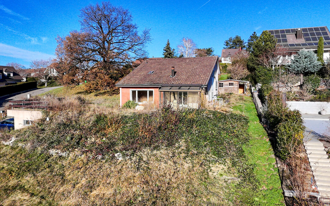 Immobilienentwicklung in Basel: Wohnraum schaffen mit Weitblick